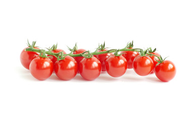 tomatoes