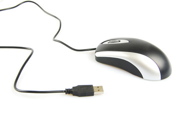 Obraz premium computer mouse
