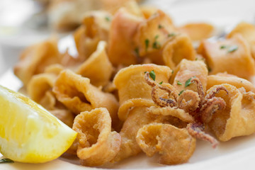 Traditional Italian Fried Calamari - 32353244