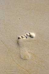 Foot on the beach