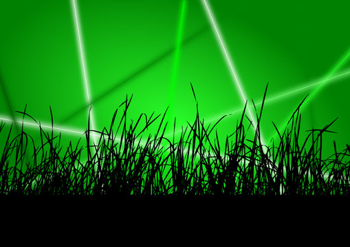 grass