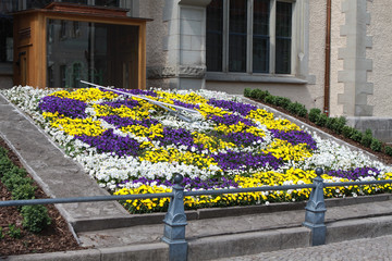 Fototapete bei efototapeten.de bestellen   