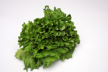 Fototapeta na wymiar Lettuce salad