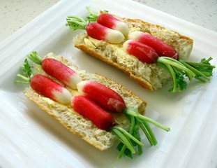 tartine de beurre et radis