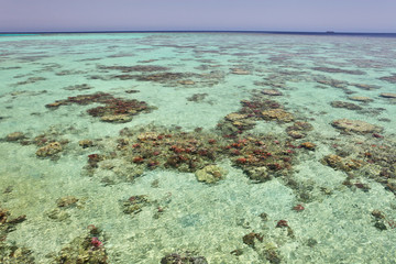 Transparent waters of tropical reefs