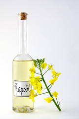 Rapsöl mit Blüte