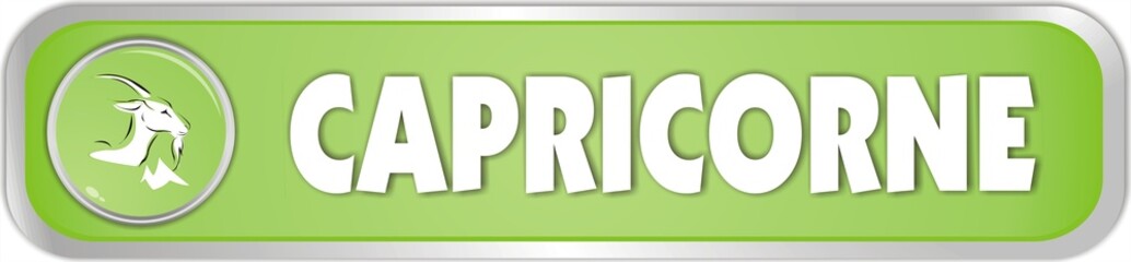 bouton signe zodiaque capricorne