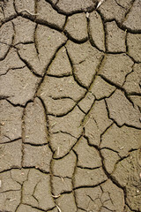 dried cracked earth