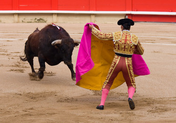 Corrida de toros