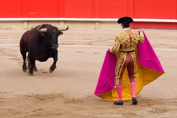 Muurstickers Bullfighting © natursports