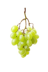 Cluster of green grapes