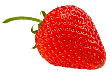fresh red strawberry