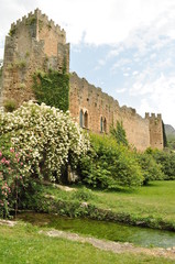 Fototapete bei efototapeten.de bestellen   