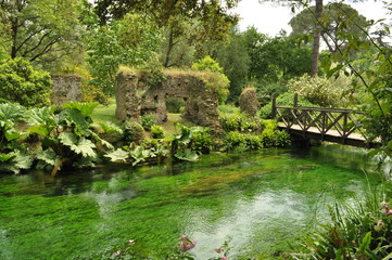 Fototapeta premium Ninfa IV