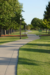 winding walk path in the park