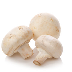 Champignon isolated over white background.