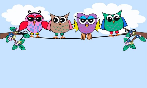 colourful owls sitting on a rope