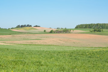 Fototapeta na wymiar rural landscape of fields