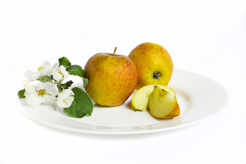 apples and apple tree flowers on the plate