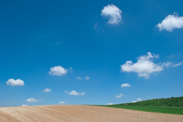 summer landscape - agricultural field with blue sky and clouds