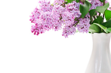 lilac flower in vase