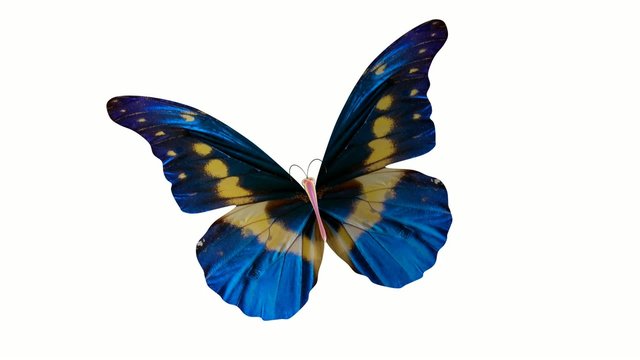 farfalla render 3d sfondo bianco scontorno