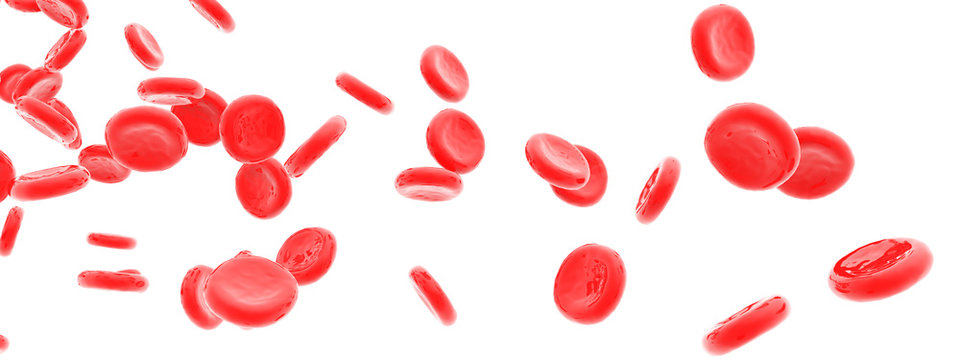 Red blood cells isolated on white