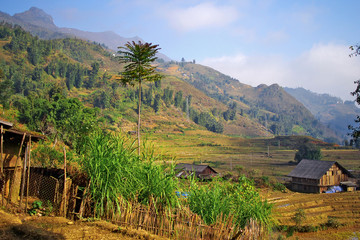 Picturesque Laos landscape.