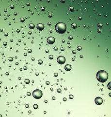 Water  drops