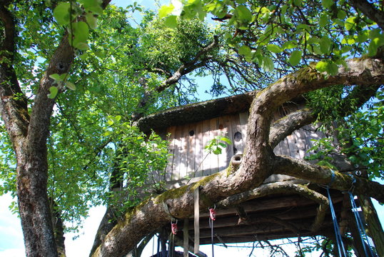 Baumhaus im Apfelbaum