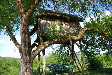 Baumhaus im Apfelbaum