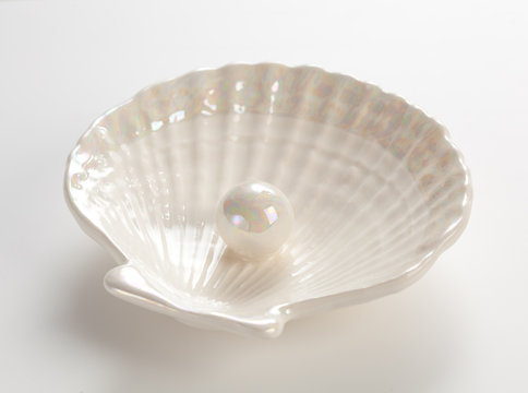 white pearl in the shell