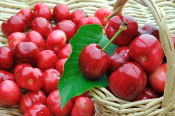 Cestino di ciliegie