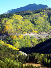 Driving Through Gold