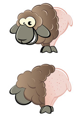 schaf cartoon lamm geschoren