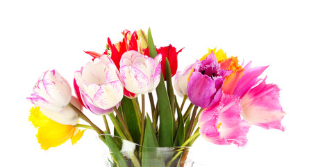 Tulips isolated on white