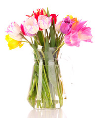 Tulips in vase isolated on white
