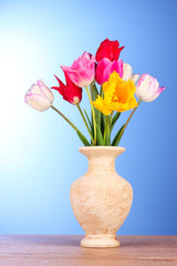 Tulips in vase on blue background