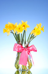 Yellow daffodils in a vase on blue background