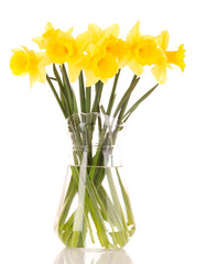 Yellow daffodils in a vase isolated on white
