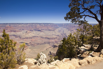 Beautiful Grand Canyon Landscape View