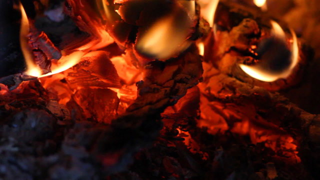 beautiful fire in the fireplace