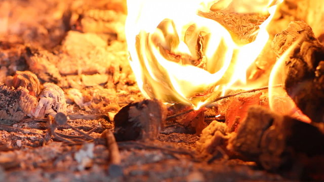 beautiful fire in the fireplace