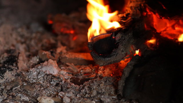 beautiful fire in the fireplace
