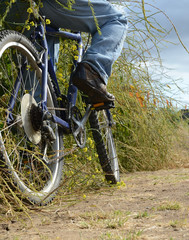 Cyclist on the Path