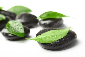 black stones and green leaves
