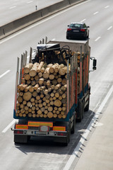 Lastwagen mit Holz beladen