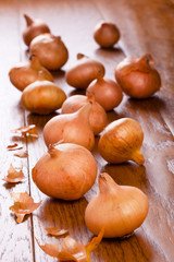 Onions on a wooden table