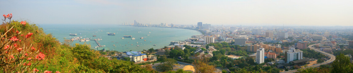 Panorama of the southern city