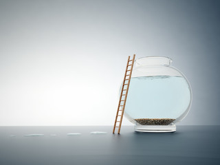 Empty fishbole with a ladder